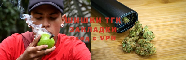 spice Каменногорск
