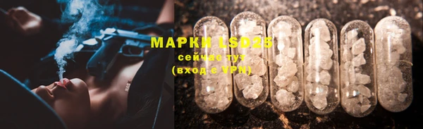 spice Каменногорск