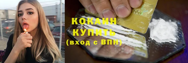стаф Каменск-Шахтинский