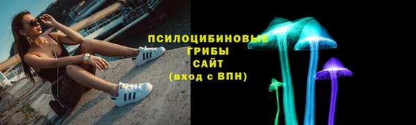 стаф Каменск-Шахтинский