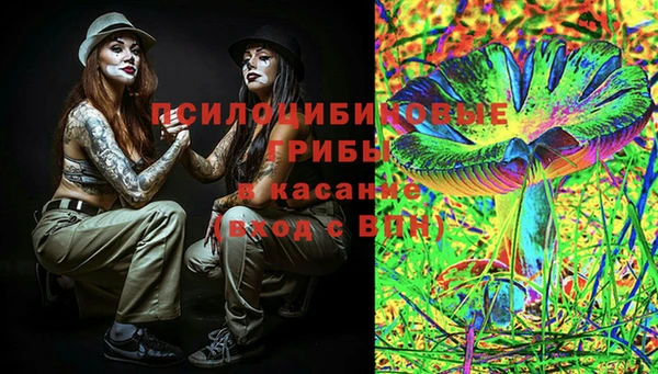 стаф Каменск-Шахтинский