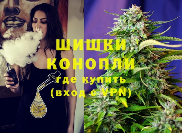 стаф Каменск-Шахтинский