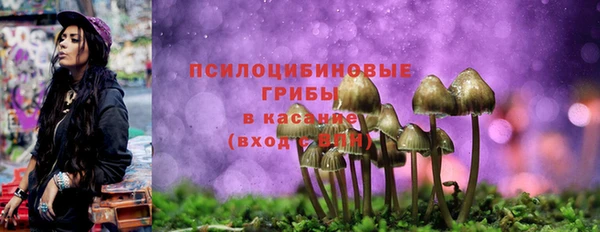 MDMA Каменка
