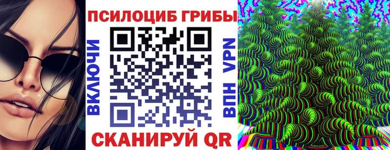 Псилоцибиновые грибы ЛСД Купить закладки Гурьевск